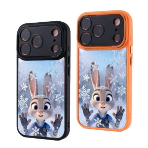 Μεταλλικό Πλαίσιο Κάμερας